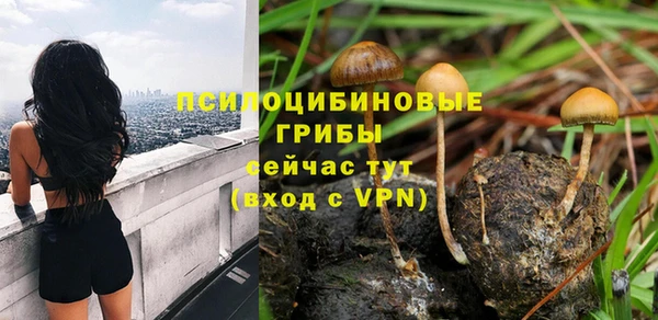 тгк Баксан