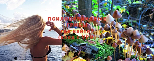 тгк Баксан