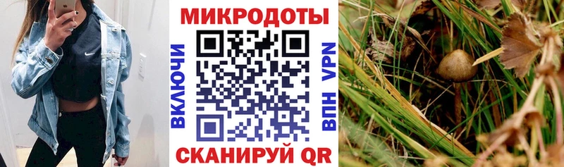 Псилоцибиновые грибы Magic Shrooms  Шагонар 